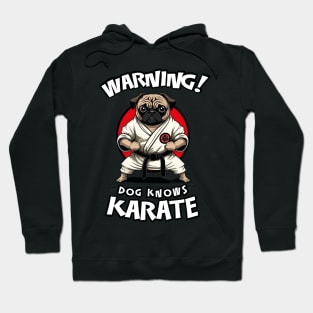 Warning! Dog Knows Karate - Funny Warning Sign Hoodie